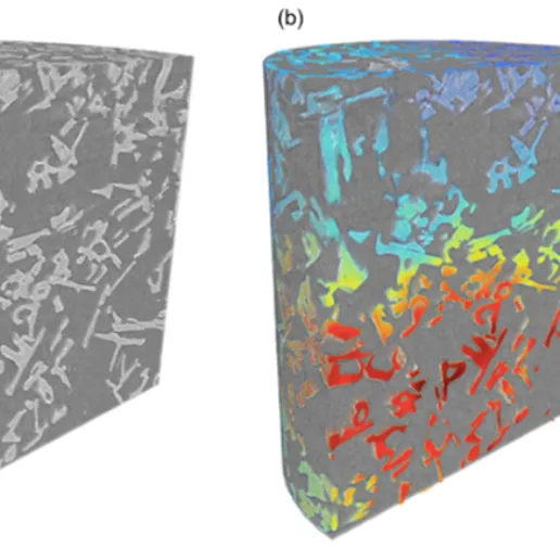 Image courtesy of Dr. Fredrik Forsberg/Lulea University.